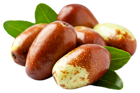 Jojoba, Argan & Castor Oils